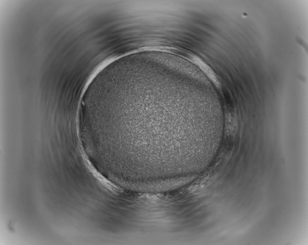 X0000098010955200804111229