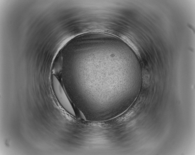 X0000098010956200804111229