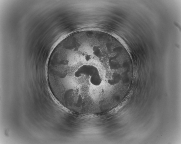 X0000098010957200804111229