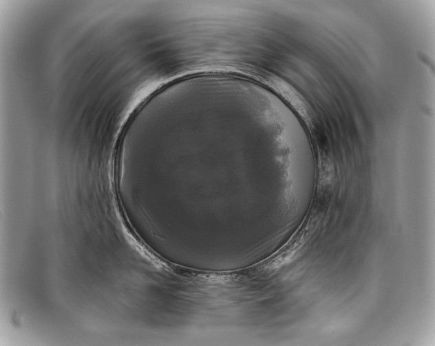 X0000098010958200804111229