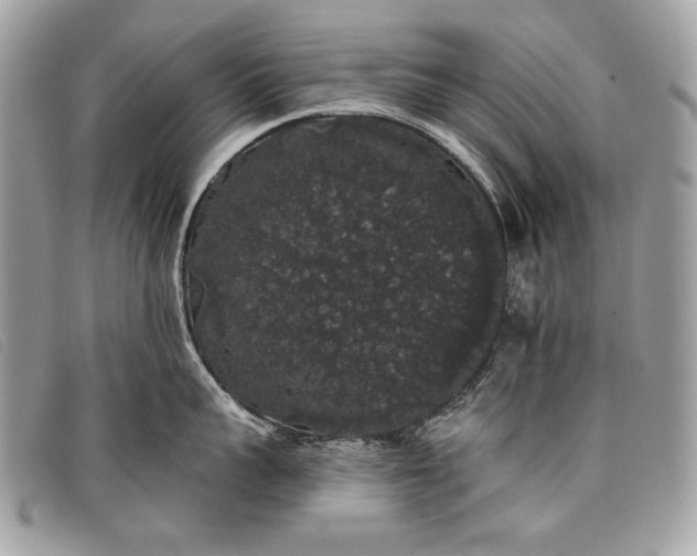 X0000098010959200804111229