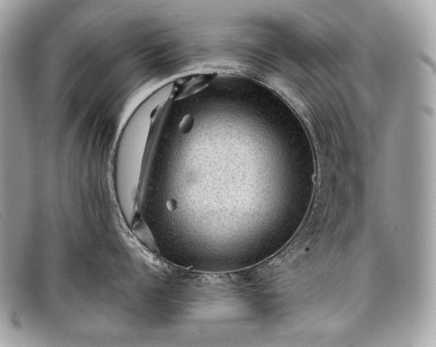 X0000098010960200804111230