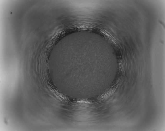 X0000098010961200804111229