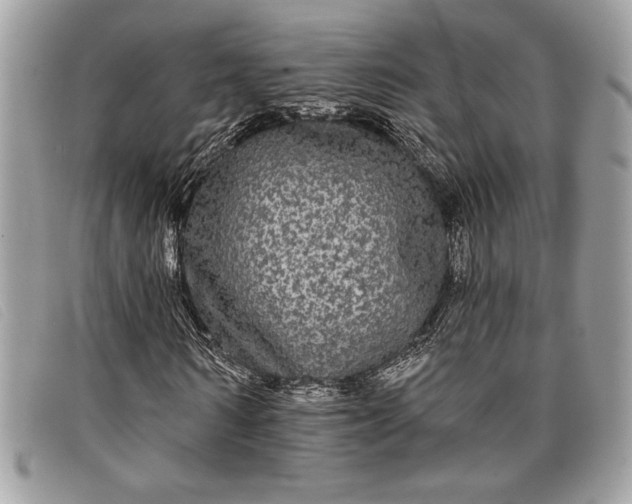 X0000098010962200804111229