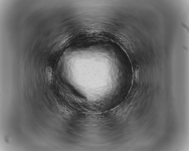 X0000098010963200804111229