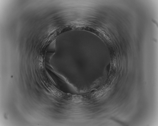 X0000098010964200804111229