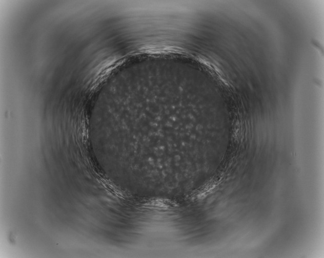 X0000098010966200804111229