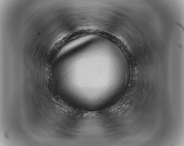 X0000098010967200804111229