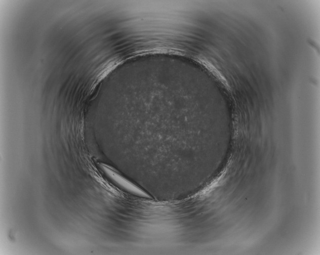 X0000098010969200804111229