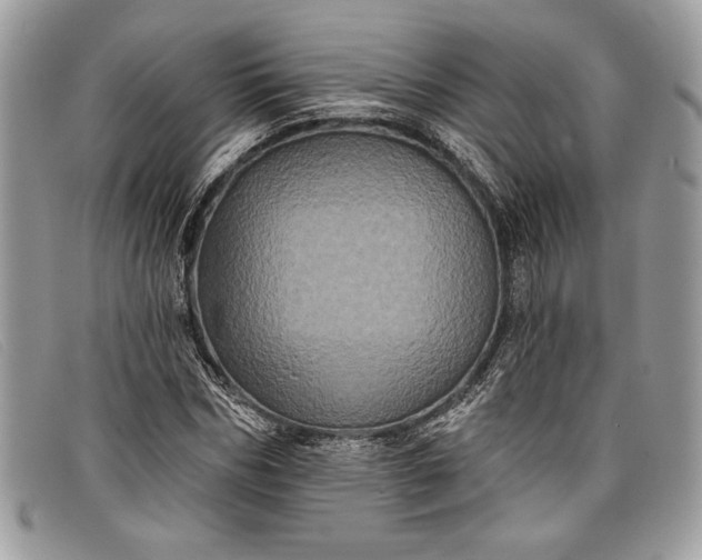 X0000098010970200804111229