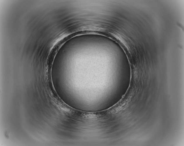 X0000098010971200804111229