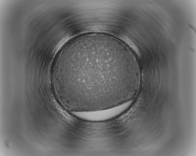 X0000098010972200804111229