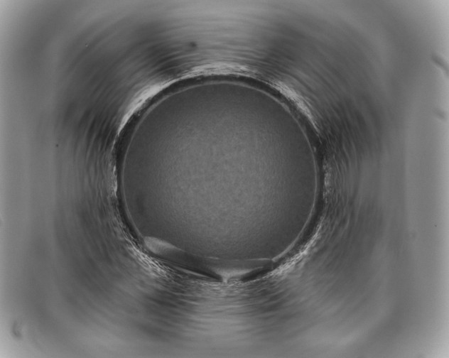 X0000098010973200804111229