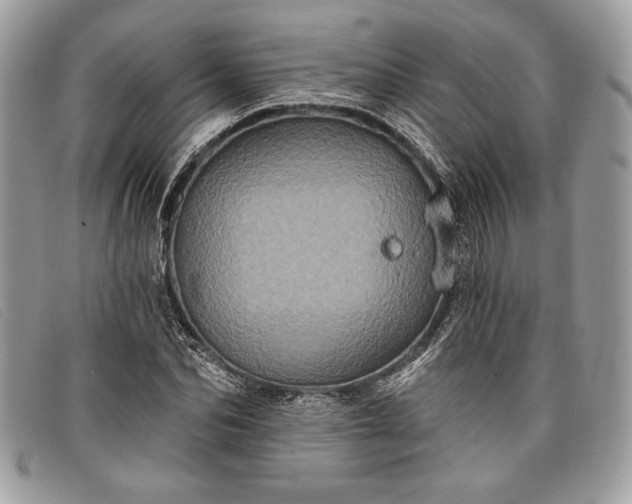 X0000098010974200804111229