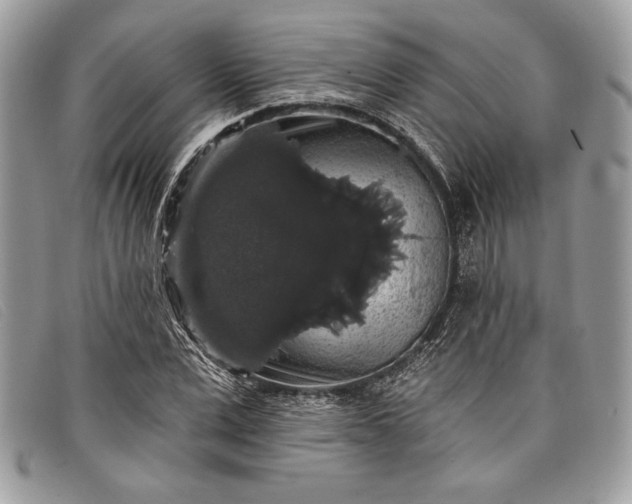 X0000098010975200804111229