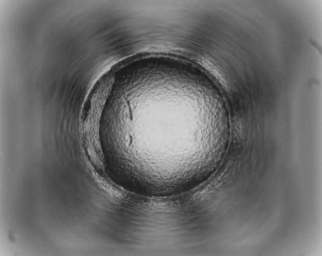 X0000098010976200804111229