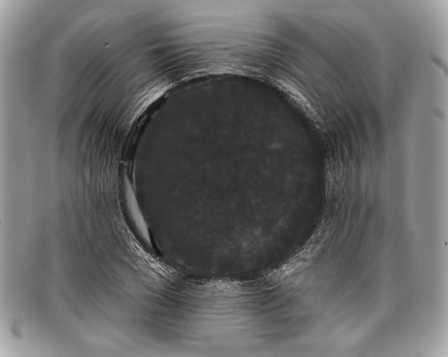 X0000098010977200804111229