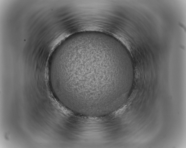 X0000098010979200804111229