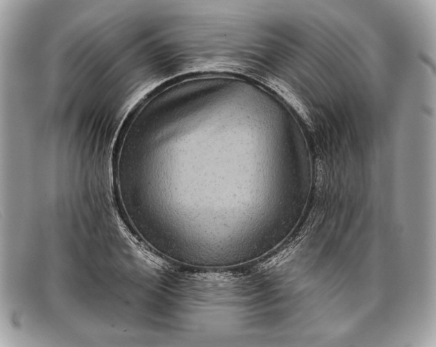 X0000098010980200804111229