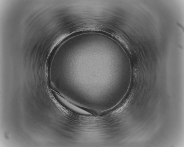 X0000098010981200804111228