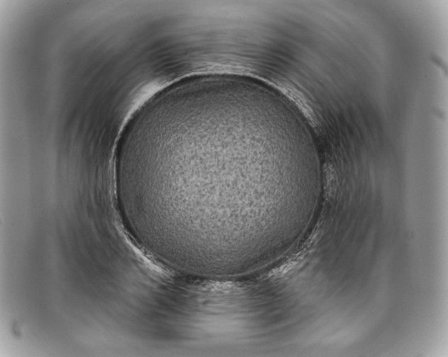 X0000098010982200804111228