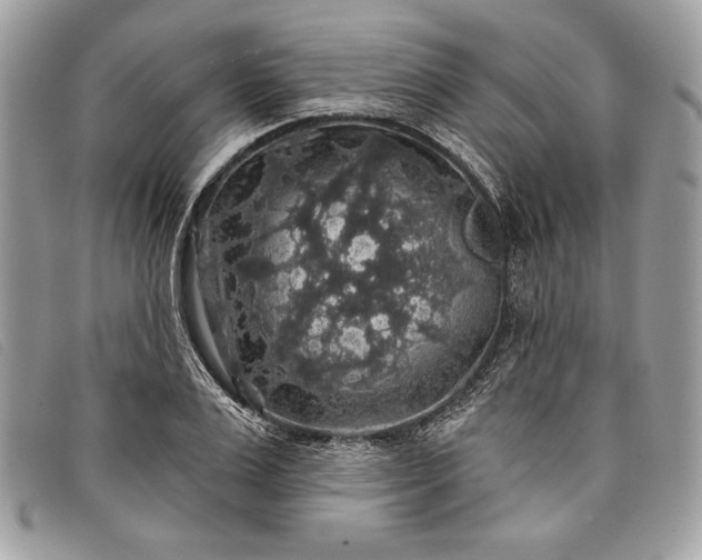 X0000098010983200804111228