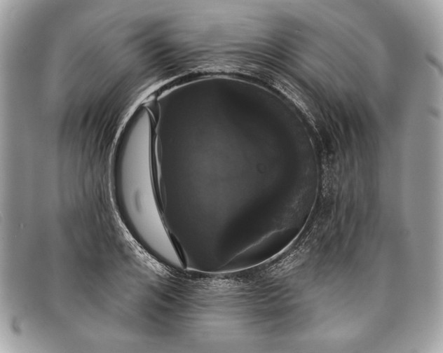 X0000098010984200804111228