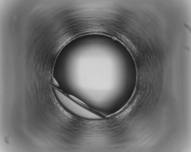 X0000098010985200804111228