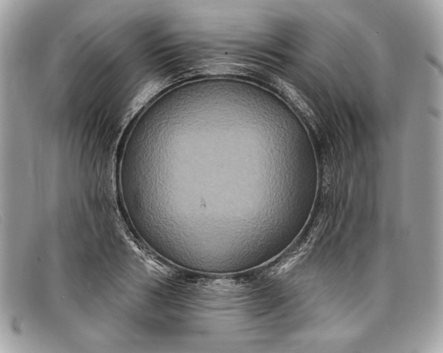 X0000098010986200804111228