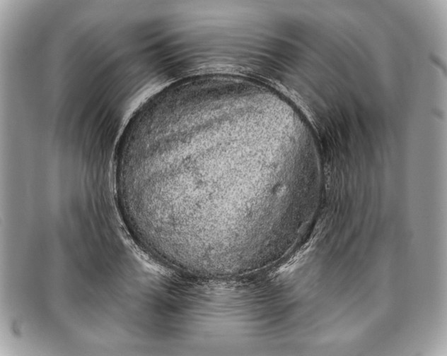 X0000098010987200804111228