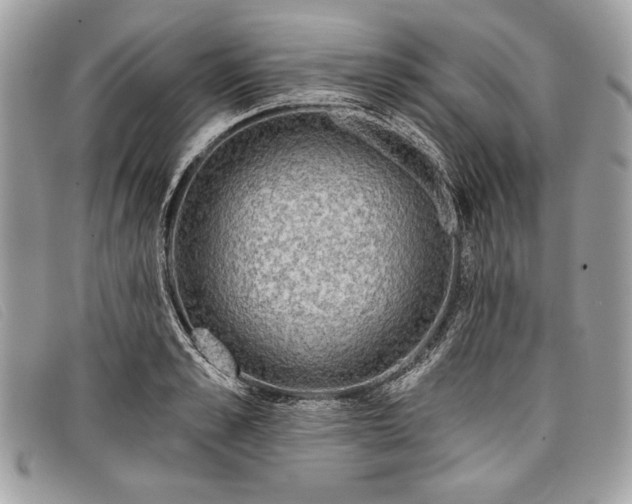 X0000098010989200804111228