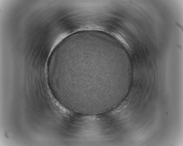 X0000098010990200804111228