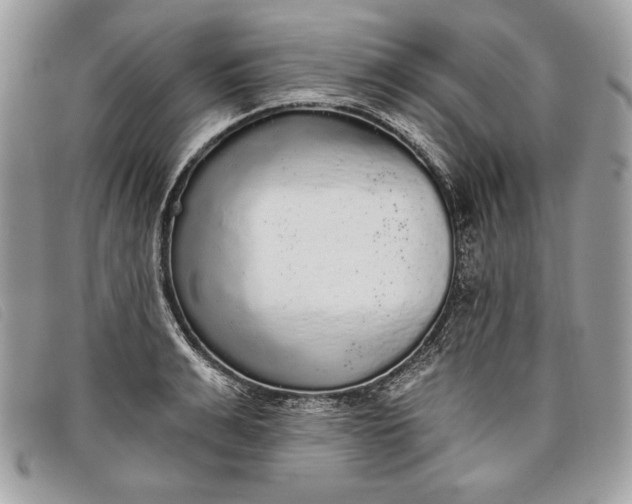 X0000098010991200804111228