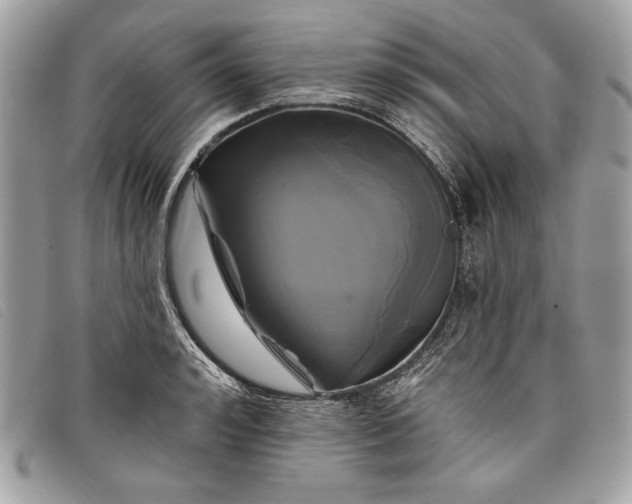 X0000098010992200804111228