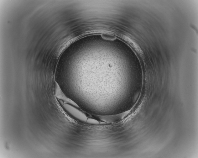 X0000098010993200804111228