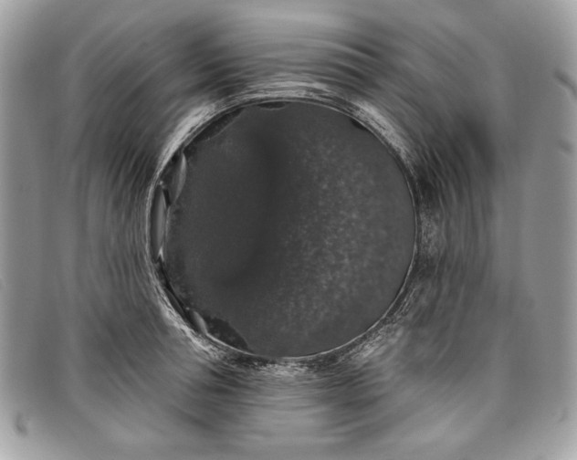 X0000098010994200804111228