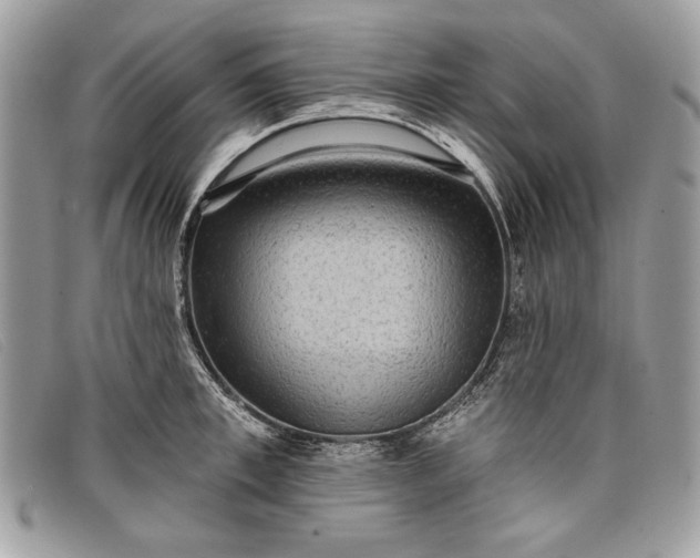 X0000098010997200804111228