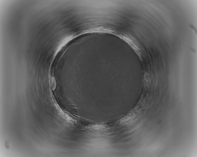 X0000098010998200804111228