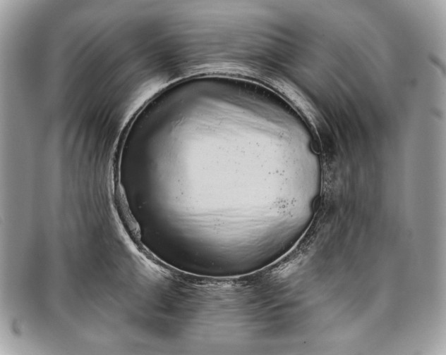 X0000098010999200804111228