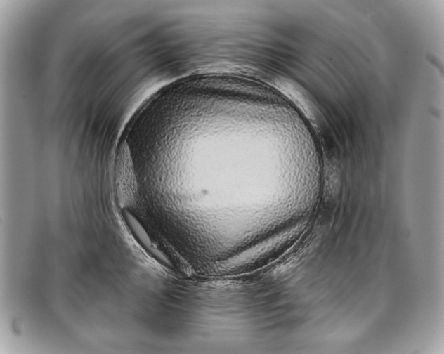 X0000098011000200804111228