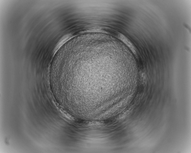 X0000098011002200804111228