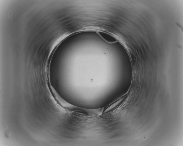 X0000098011003200804111228