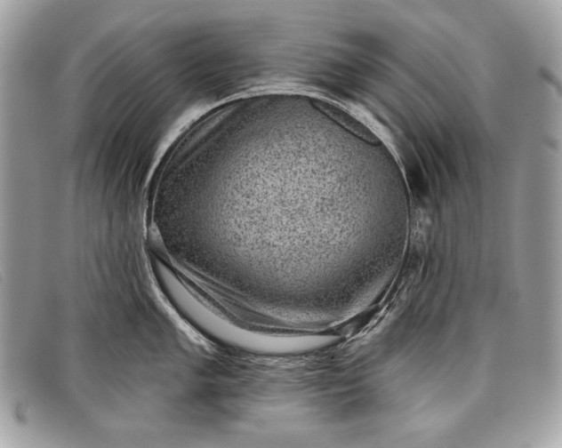 X0000098011005200804111228