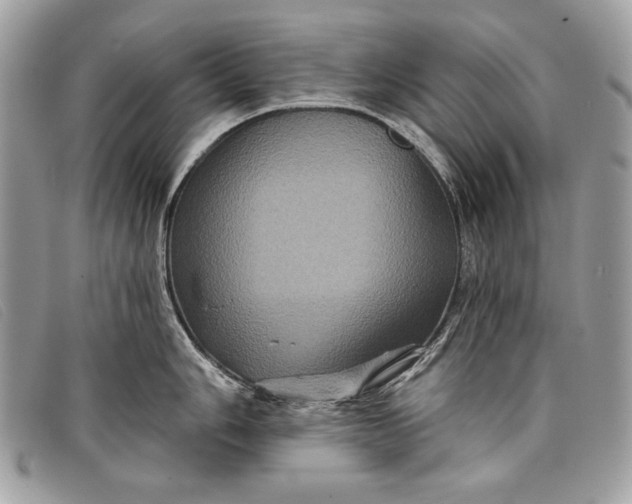 X0000098011006200804111228