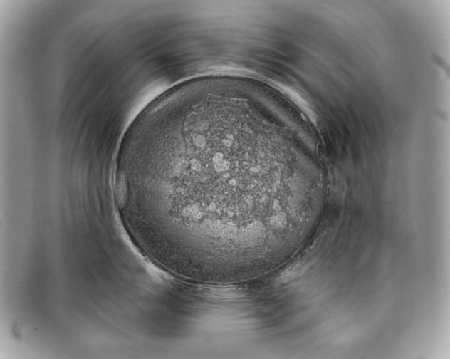 X0000098011007200804111228