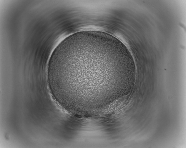 X0000098011008200804111228