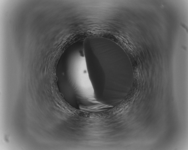 X0000098011009200804111227