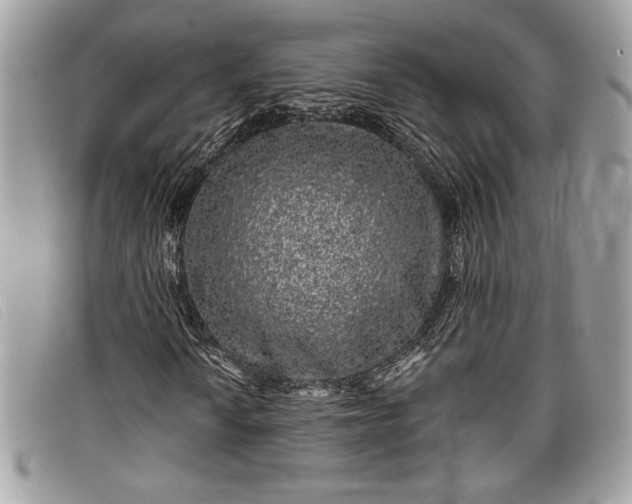 X0000098011010200804111227