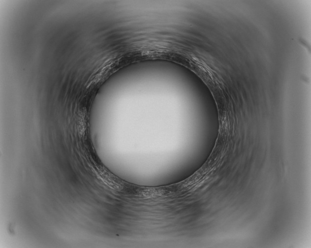 X0000098011012200804111227