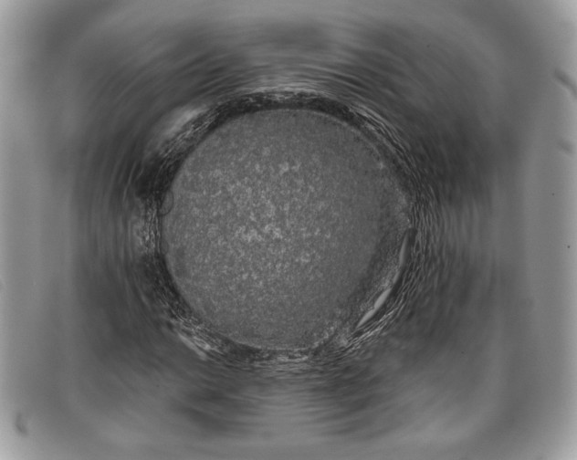 X0000098011014200804111227